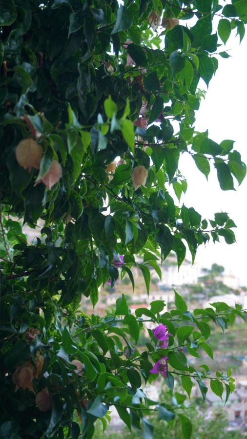 Mariuccia House Villa Amalfi Dış mekan fotoğraf